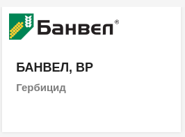 БАНВЕЛ, ВР