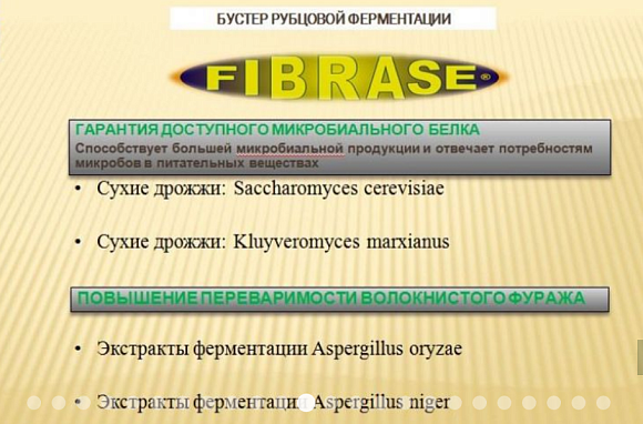 Кормовая добавка для жвачных FIBRASE